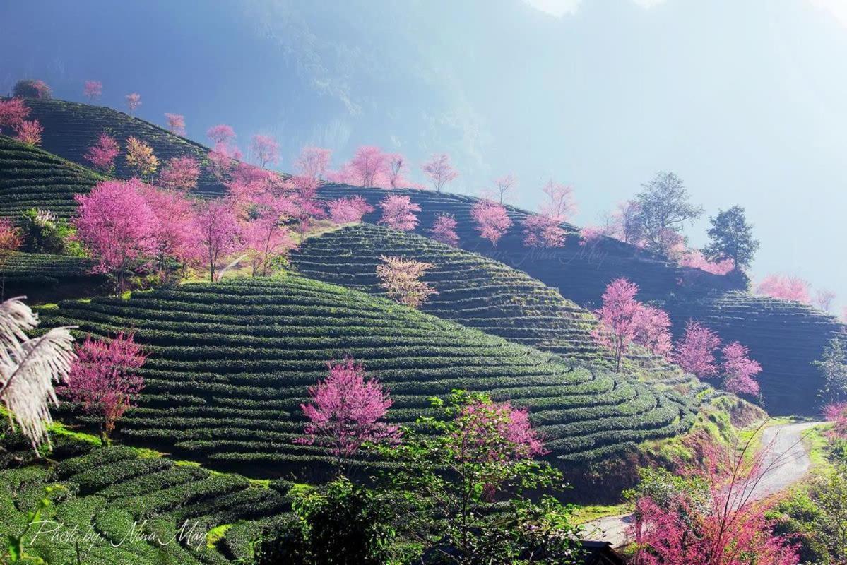 Ha Giang Hotel Sapa Екстер'єр фото