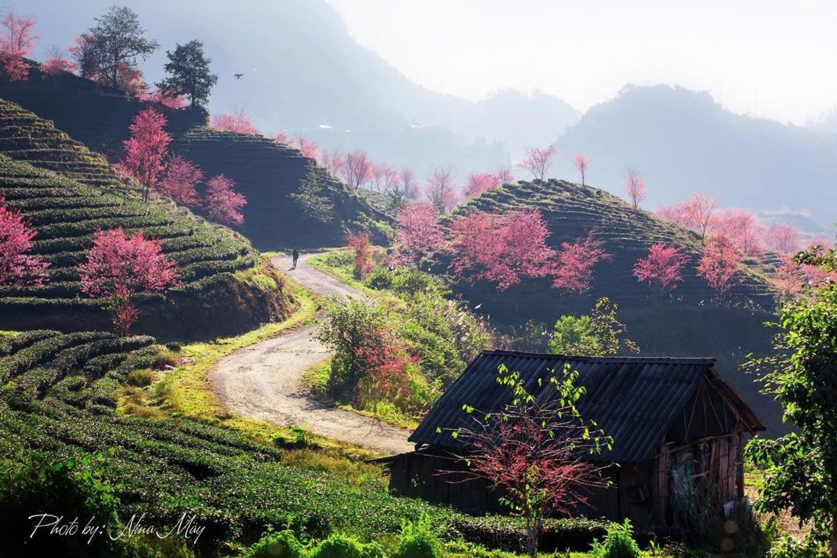 Ha Giang Hotel Sapa Екстер'єр фото