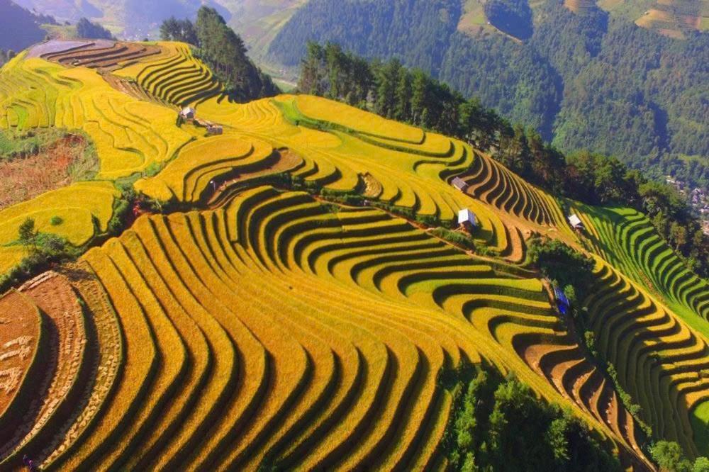 Ha Giang Hotel Sapa Екстер'єр фото
